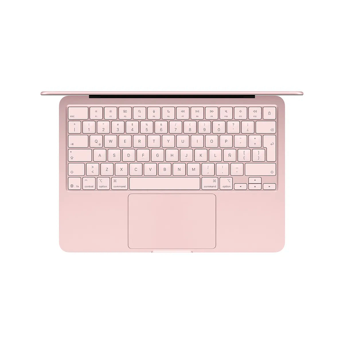 MacBook Neo 256gb Blush (Rosa) + MS Office
